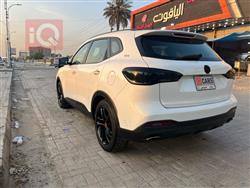 MG HS